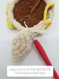 Mini Sunflower Turtle Amigurumi Pattern step 4 - final assembly and finishing