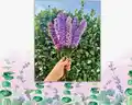 Lavender Pattern step 1 - construction progress