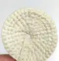 Baby Dandelion Amigurumi Pattern step 4 - final assembly and finishing