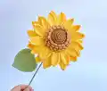 Crochet Sunflower Pattern step 1 - construction progress