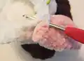 Ice Cream Turtle Amigurumi Pattern step 3 - details and accessories