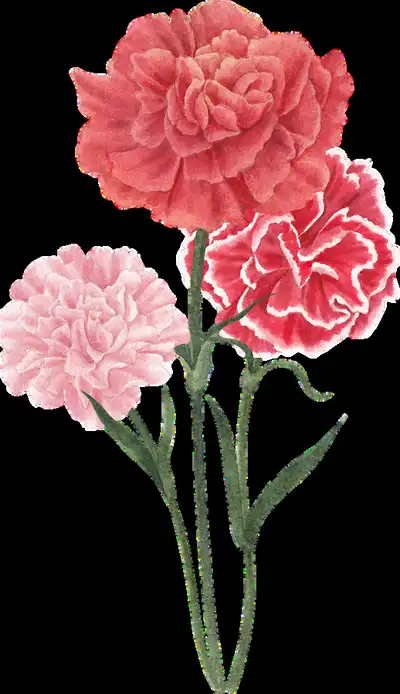 Crochet Flower Patterns Book Pattern step 1 - construction progress