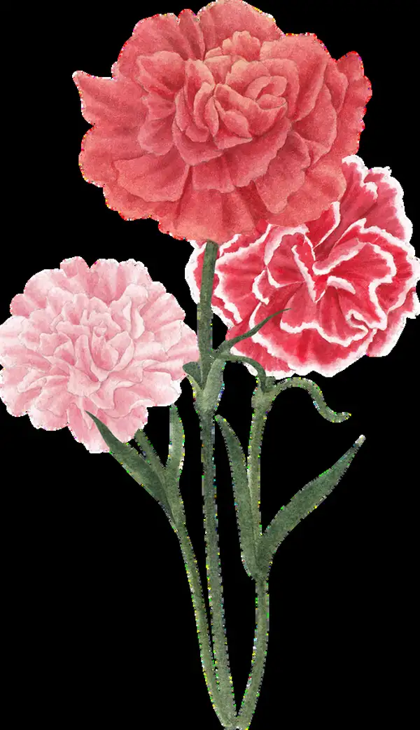 Crochet Flower Patterns Book Pattern