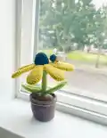 Bumble Blossom Black Eyed Susan Amigurumi Pattern step 1 - construction progress