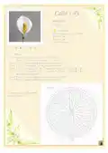 Crochet Flower Patterns Book Pattern step 4 - final assembly and finishing
