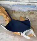 Jacque the Manta Ray Amigurumi Pattern step 1 - construction progress