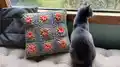 Flower Garden Throw Pillow Pattern step 2 - assembly progress