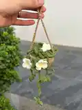 Hanging Plant Pot Amigurumi Pattern step 1 - construction progress