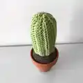 Desert Crochet Cactus Amigurumi Pattern step 4 - final assembly and finishing
