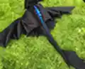 Toothless Plush Pattern step 4 - final assembly and finishing